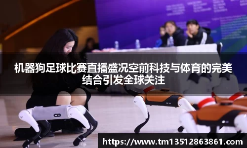 k1体育下载安装