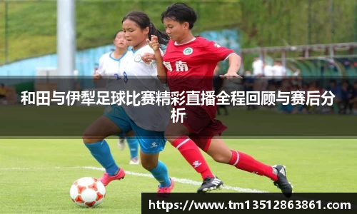 k1体育